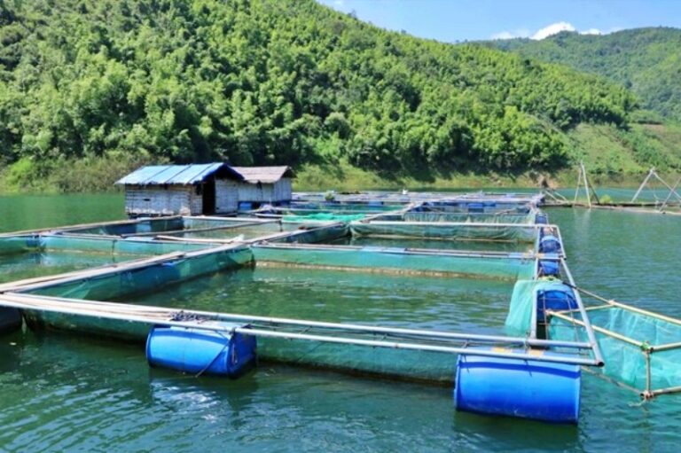 nuoi-ca-tu-tam-nhua-eco-chi-phi-thap-hieu-qua-cao-2-2