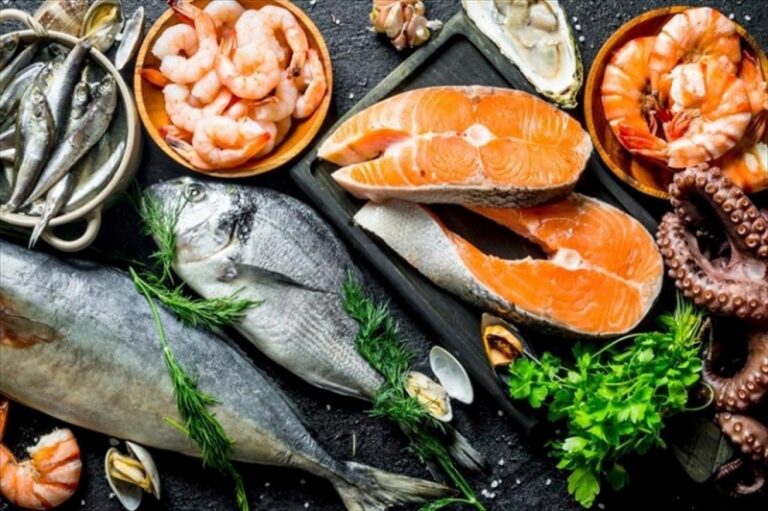 phat-trien-nuoi-ca-tu-ho-nhua-eco-nang-suat-tot-loi-nhuan-cao-4