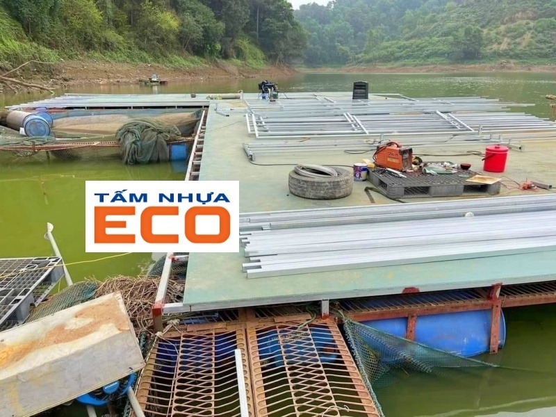 tamnhua-2-2