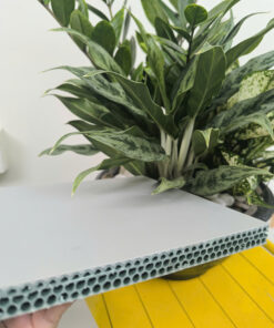 Tấm nhựa Eco Pro 17mm - 1,22 x 2,44 M