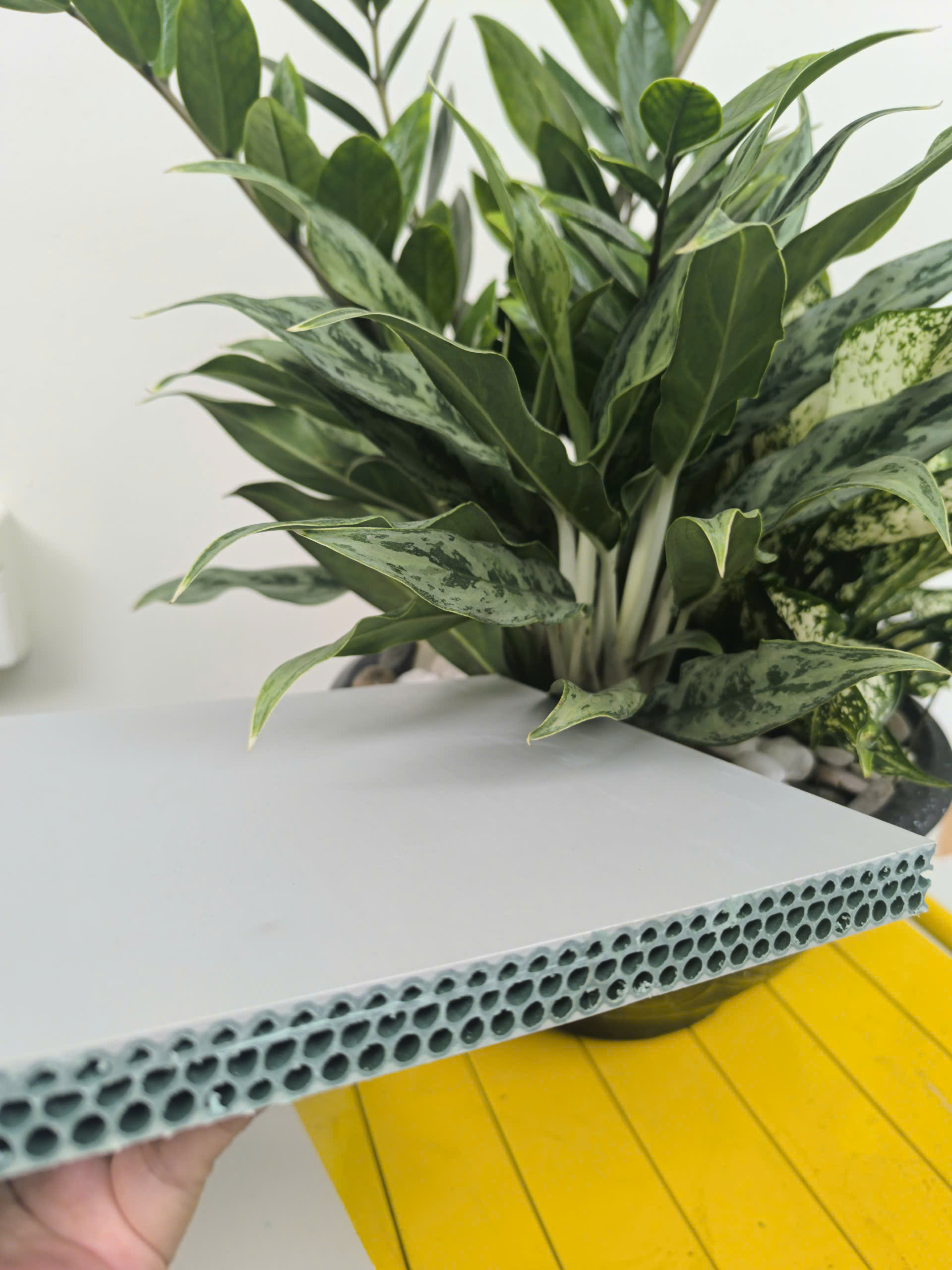 Tấm nhựa Eco Pro 17mm - 1 x 2 M