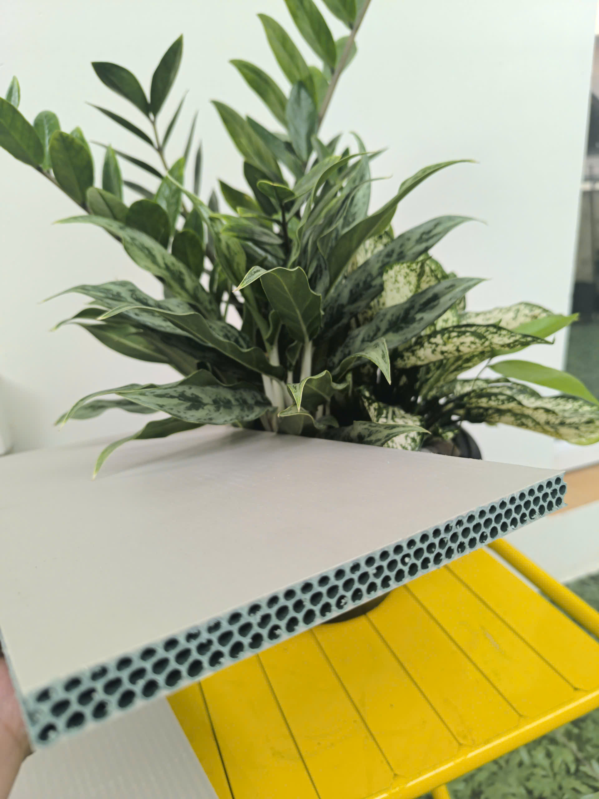 Tấm nhựa Eco Pro 15mm - 1,22 x 2,44 M